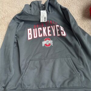 Ohio State Buckeyes Gray Hoodie